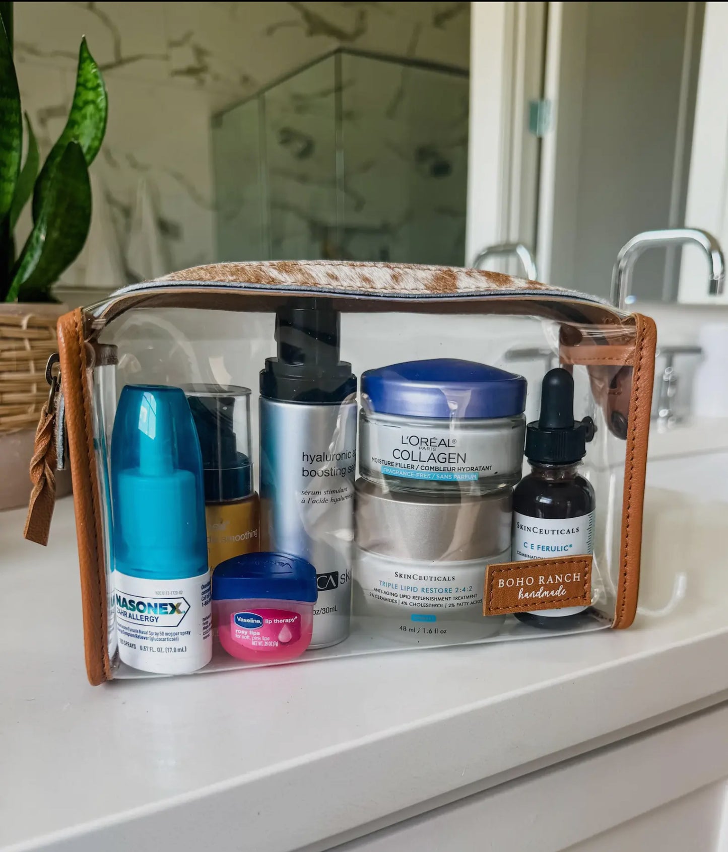 Clear Toiletry Bag